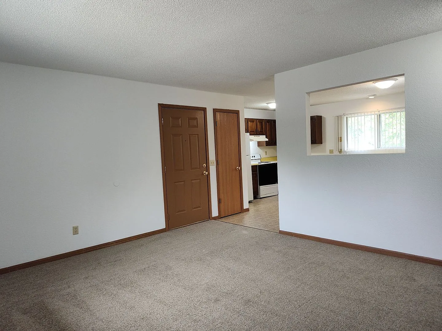 Boxwood 622 — Photo 3