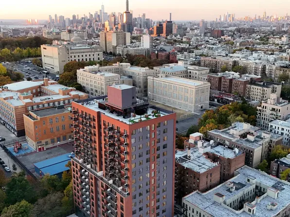 974 Carroll Street image 21 of 30