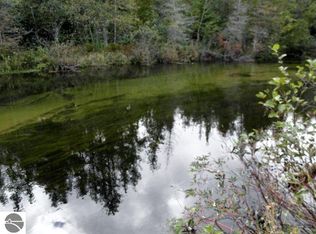 1 Deadstream Rd, Honor, MI 49640