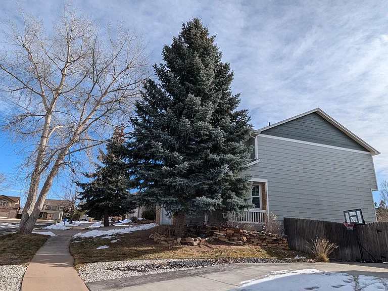 9045 Rochester Dr — Photo 4