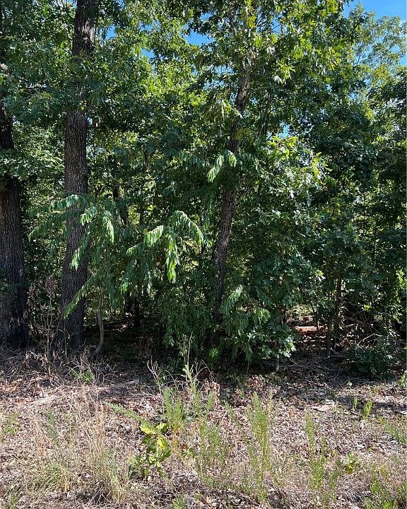 2nd image of Kent Dr #31