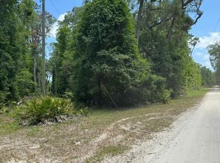 SE Dorthie Land Rd, Branford, FL 32008