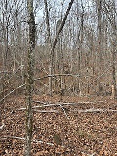 5th image of 143 Terrapin Pointe Rd