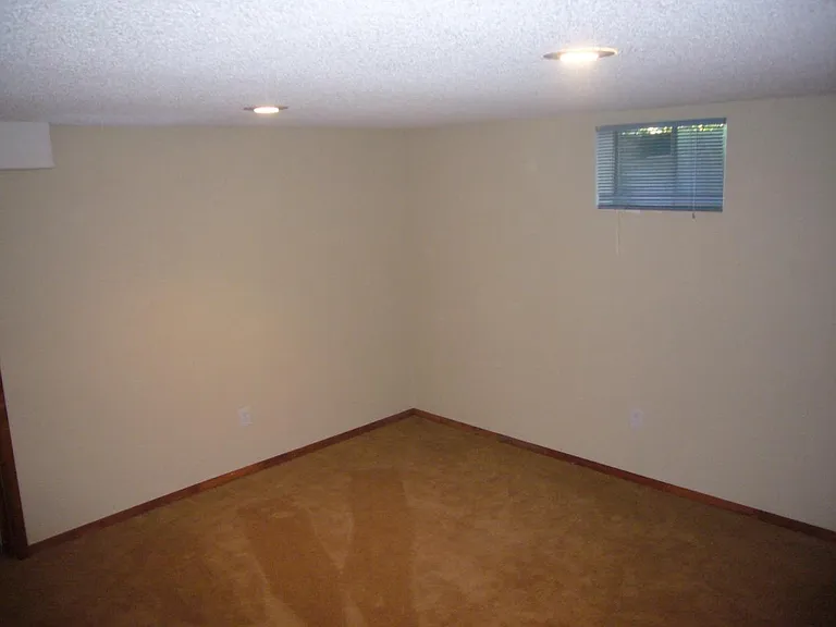 Basement Bedroom #1