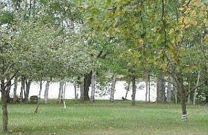 Level, park-like lot