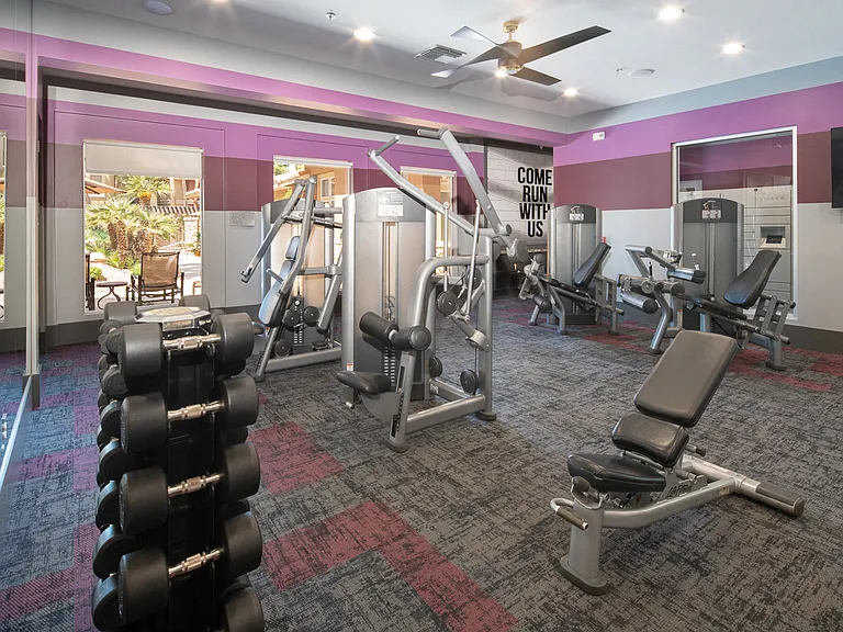 Free Weights