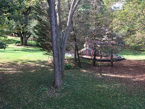more park behind the trees