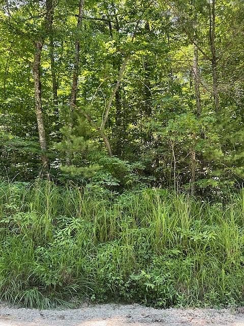 2nd image of 0 Pleasant Grove Church Rd #3A