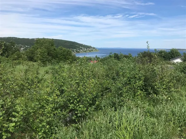 0 Browns Road, Spaniards Bay, NL A0A3X0