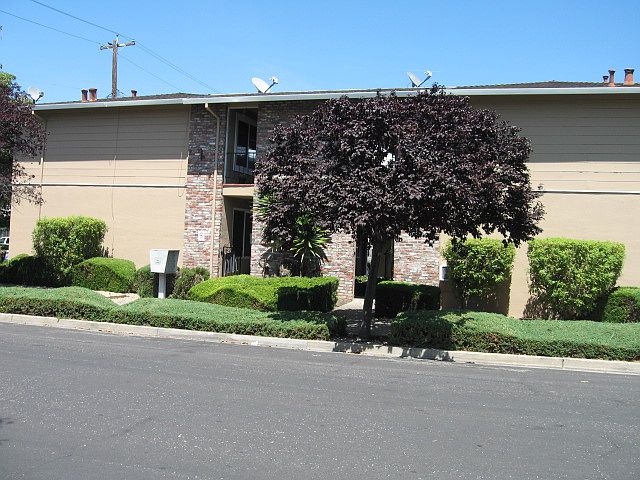 1st image of 589 Lincoln St APT 1