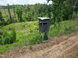 Ebenezer Coxburg Rd, Lexington, MS 39095