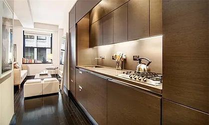 Rented by Platinvm Property Group New York