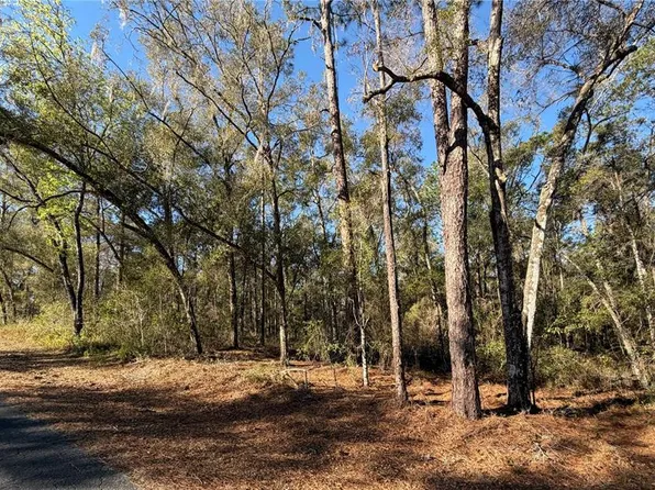 5230 S Robert Blake Ave #20, Inverness, FL 34452