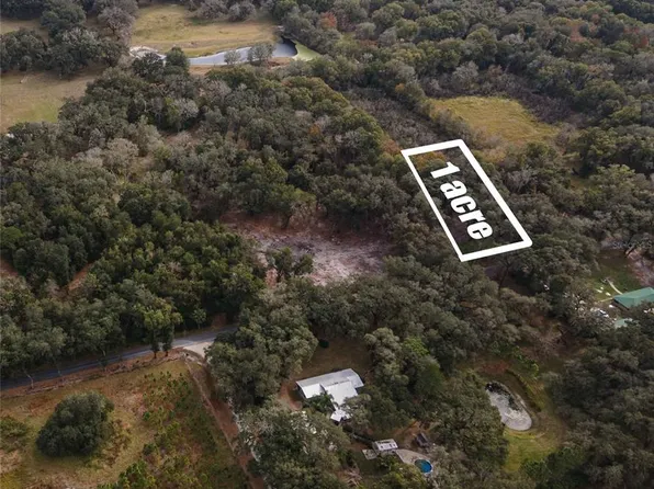 County Road 650, Bushnell, FL 33513