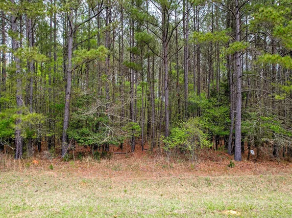 1030 Clinton-Williams Road Road, Lincolnton, GA 30817