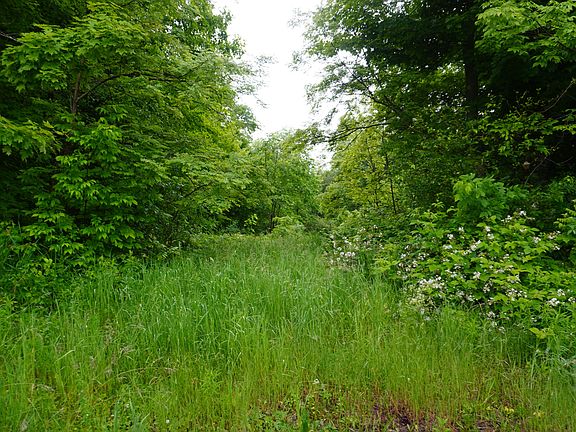 2nd image of Lot 4.111 Lyford Road