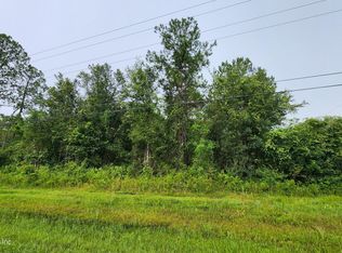 2171 COSMOS Avenue, Middleburg, FL 32068