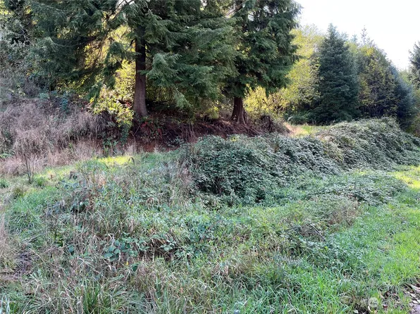 159 Covered Bridge Road, Grays River, WA 98621