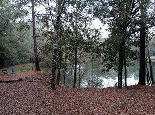 712 Winslette Rd, Newton, AL 36352