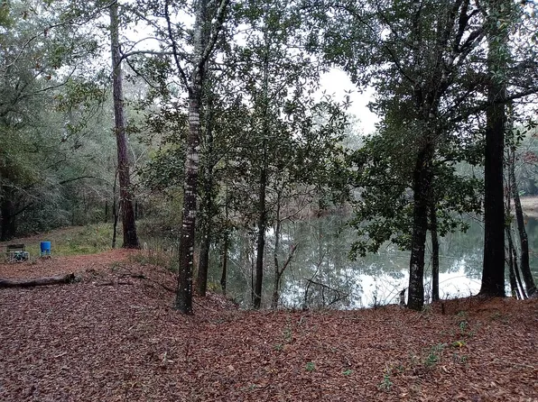 712 Winslette Rd, Newton, AL 36352