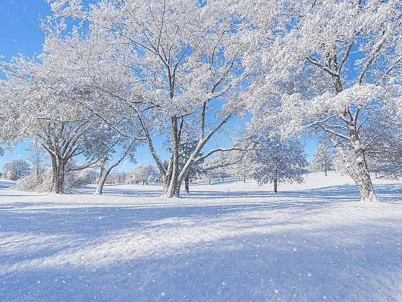 Winter view of back yard