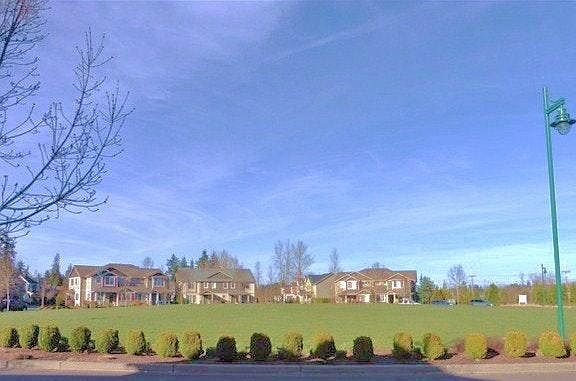 View of Park
