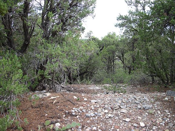 4th image of 0 Beaver Ln