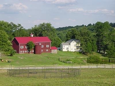 2nd image of Route 371