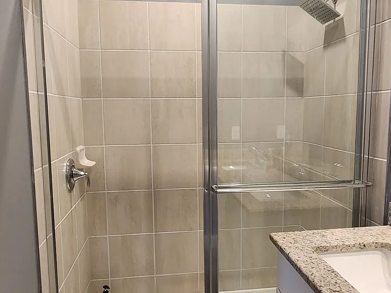 Master Bathroom Shower
