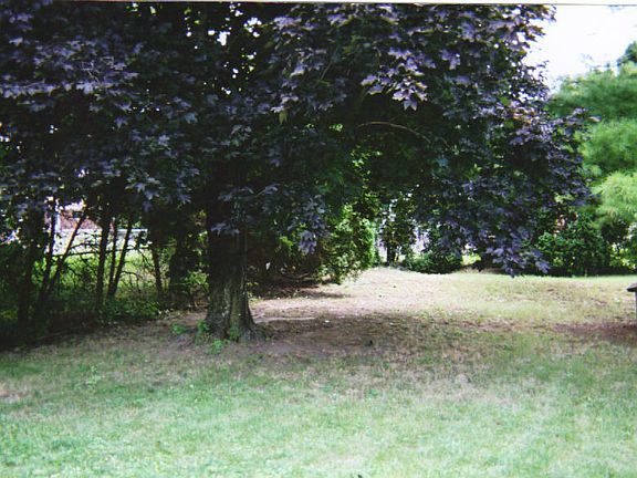 5th image of 1408 Blairwood Ave