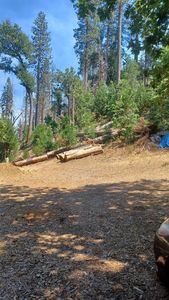 0 Comet Mine Ln, Mariposa, CA, 95338