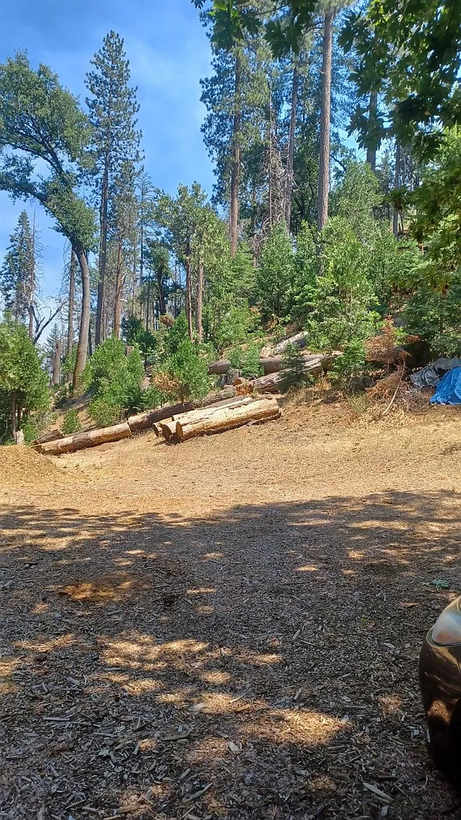 0 Comet Mine Ln photo 1