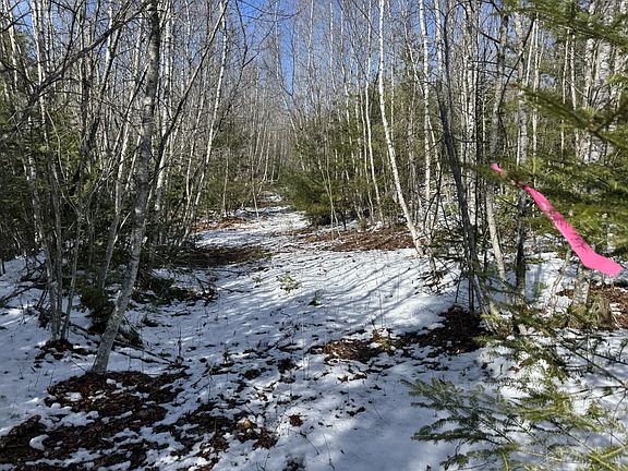 3rd image of Lot 21 Bog Road