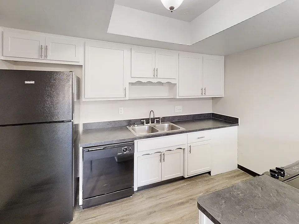Modern kitchen with sleek black appliances, ample white cabinetry, and a spacious countertop for culinary enthusiasts.