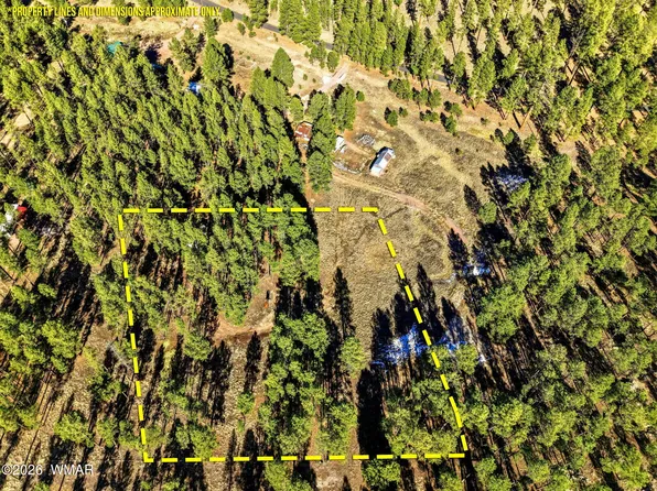 County Road N2121, Alpine, AZ 85920