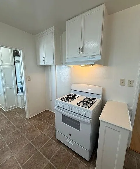 116 E Buckthorn St #H — Photo 5