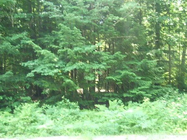 Lot 18 Roberts Street, Buxton, ME 04093