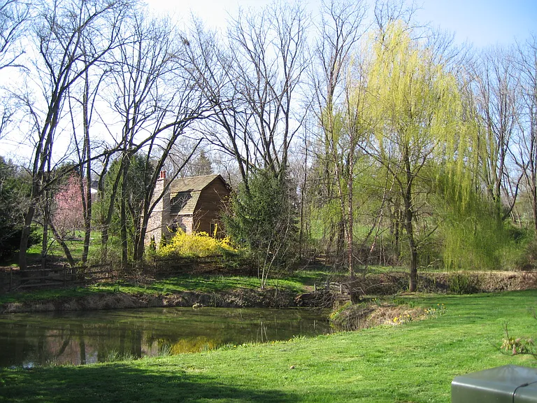 Pond