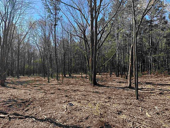 4th image of Lots 80 81 234 Cliff Rd