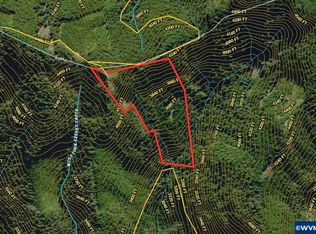0 Forest Rd, Sweet Home, OR 97386