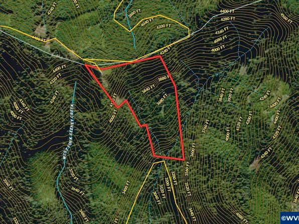 0 Forest Rd, Sweet Home, OR 97386