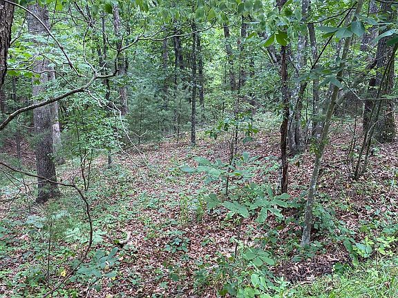 3rd image of 400 Bass Wood Ln