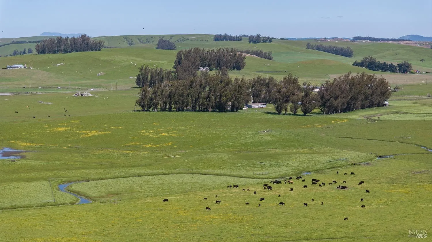 530 Tomales Road - Photo 10