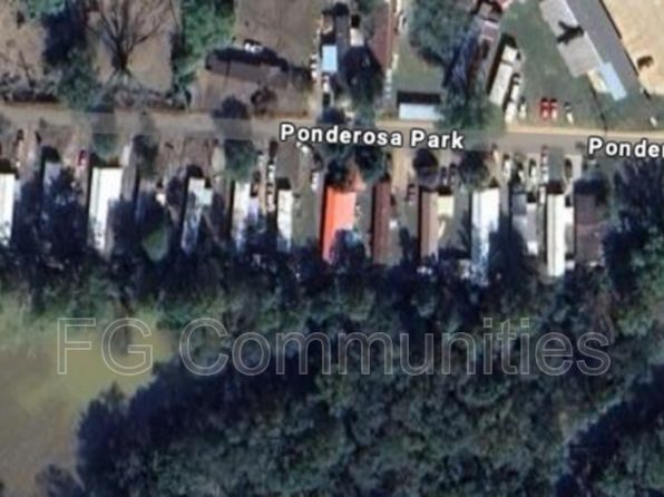 100 Ponderosa Park