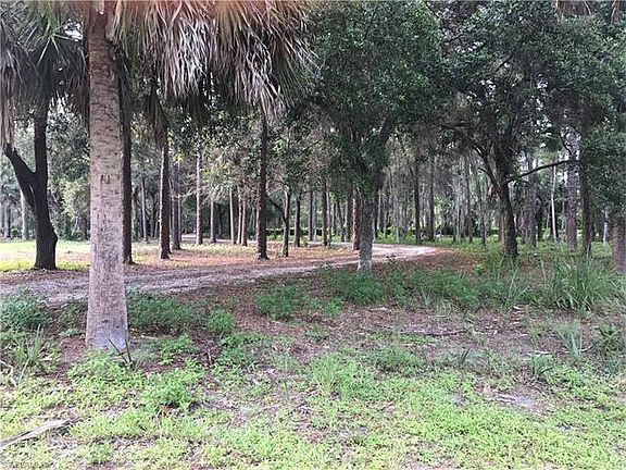 3rd image of 4910 Palmetto Woods Dr