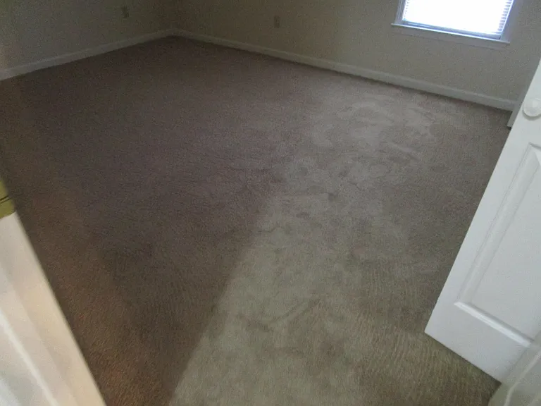 2224 Preot St — Photo 8