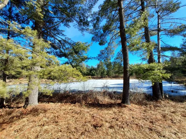 On Everson Rd, Winter, WI 54896