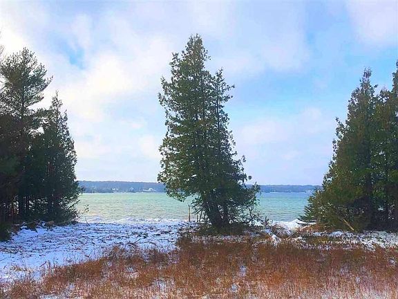 2nd image of Tbd Evergreen