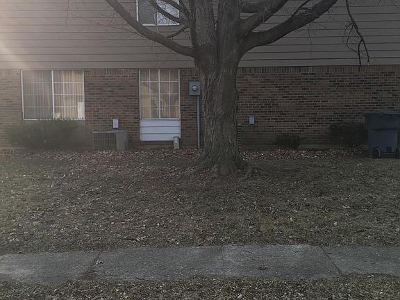 Side Yard View