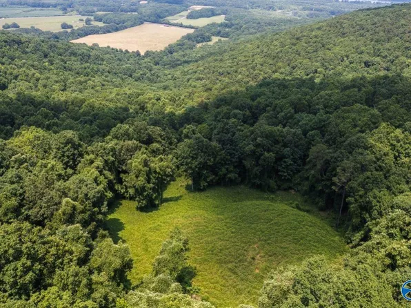 44 State Highway 117, Flat Rock, AL 35966